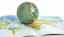 Online Tutor